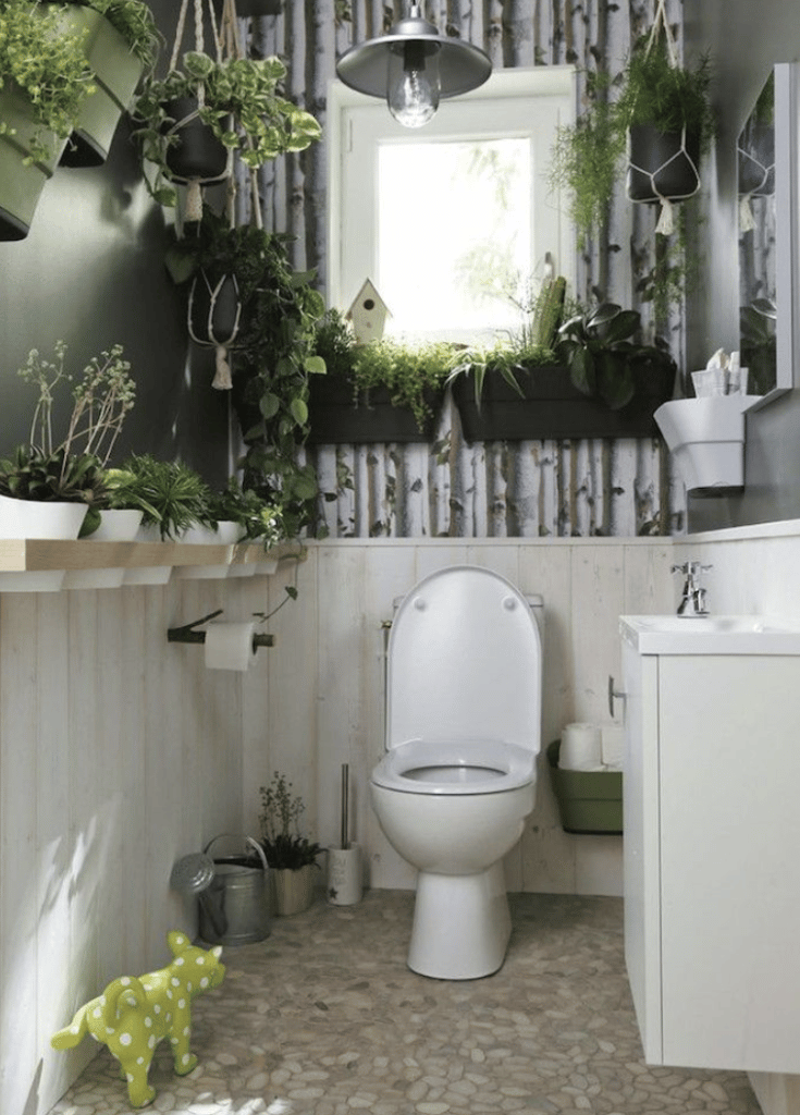 jardin plantes toilettes