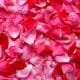 decoration petales rose idées