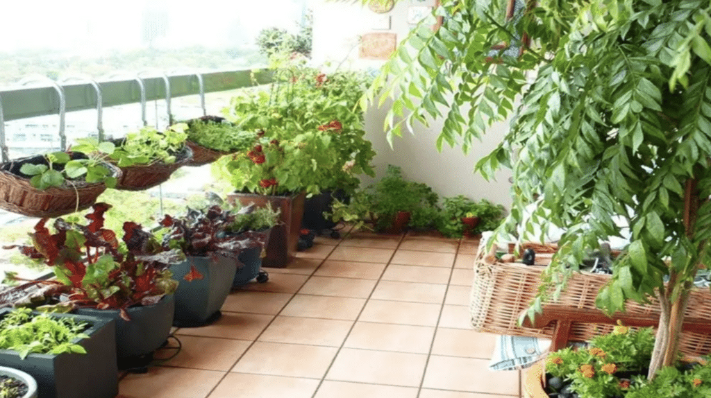 choisir bonnes plantes pour une terrasse