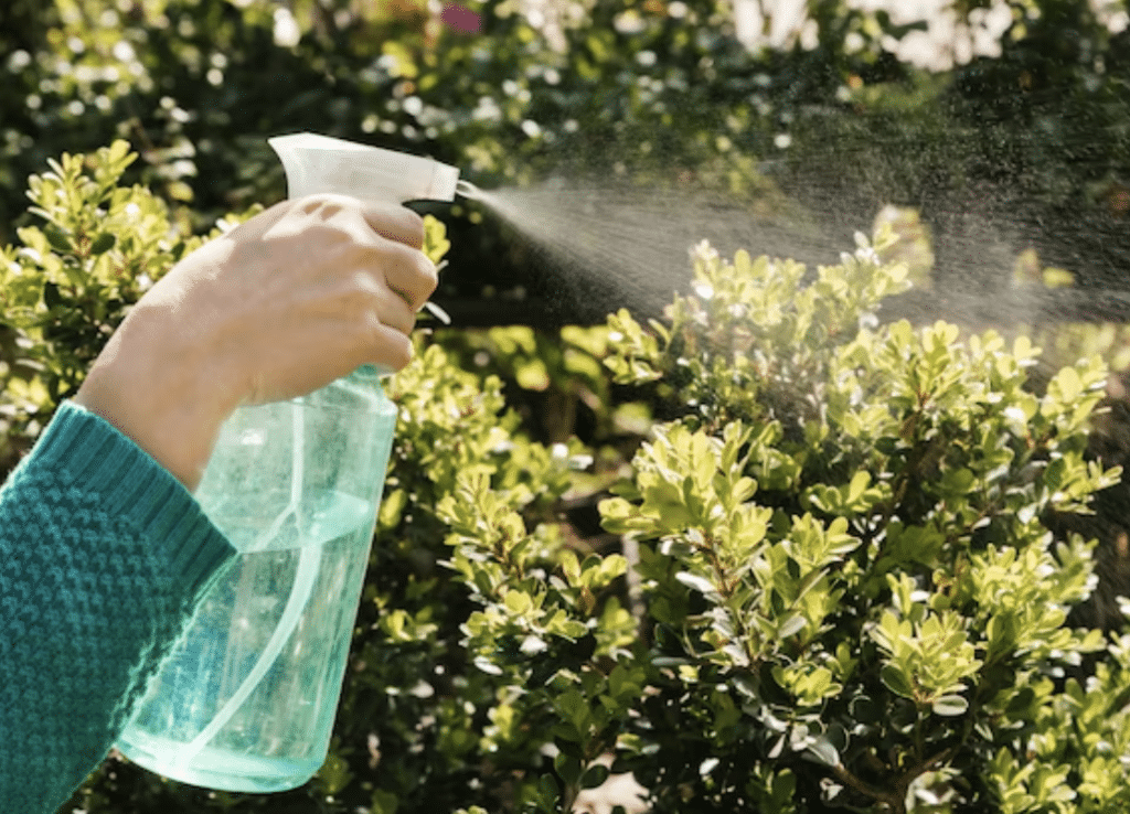 spray traitement jardin potager