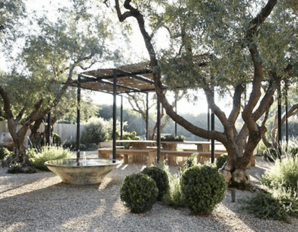 idee valoriser olivier jardin