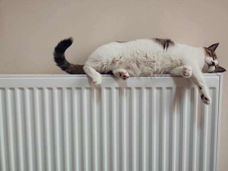 Chat qui dort sur un radiateur