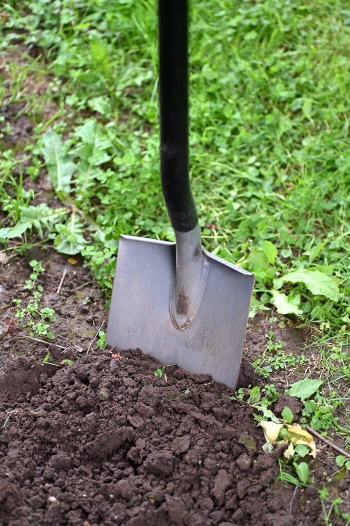 creuser un trou en pleine terre