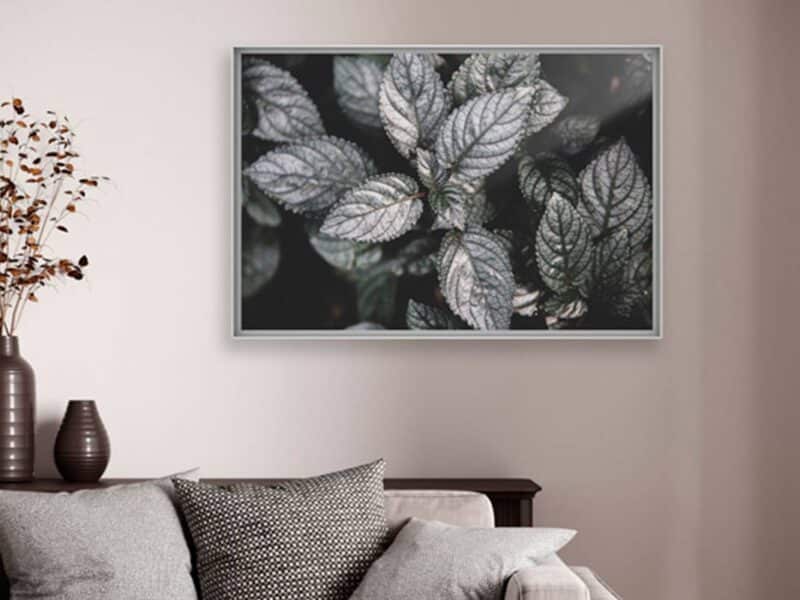 Caisse américaine alu