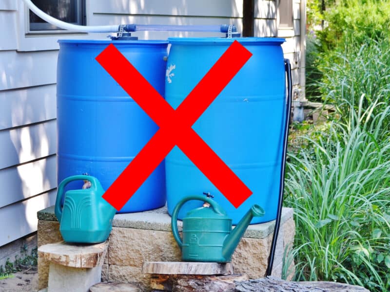 Tonneau d'eau de pluie