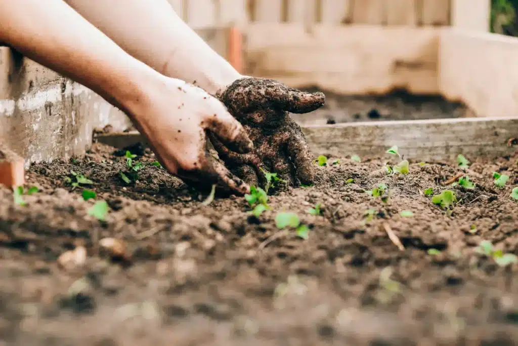 Mains travaillant la terre dans un jardin