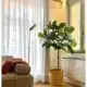 Ficus lyrata artificiel tige dans un salon